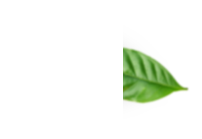 sustainability leaf