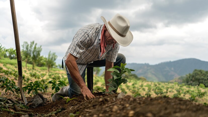 sustainability farmer