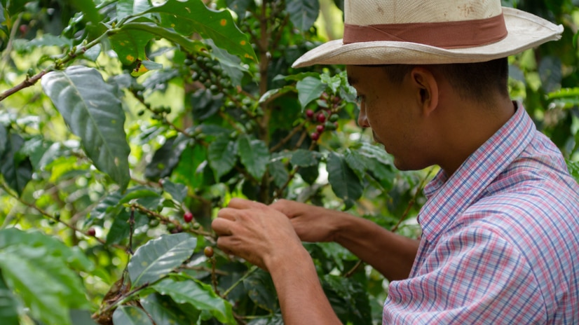 sustainability farmer