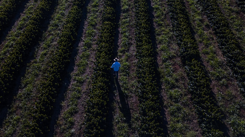 sustainability farmer