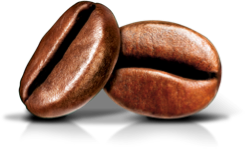 coffee bean image